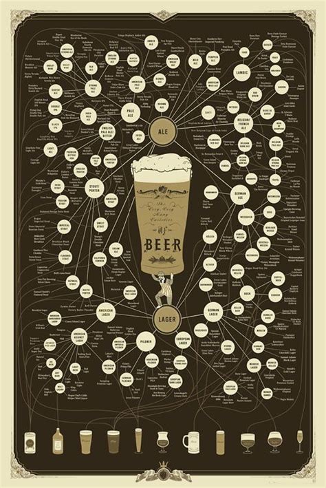 the difference between lager and ale beer poster beer infographic