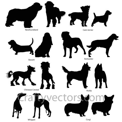 Dog Breeds 4 Silhouettes Vector File Svg Etsy