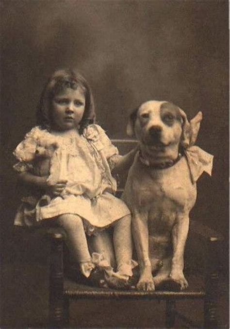 Pit Bulls Were Once Known As Nanny Dogs Because Of How