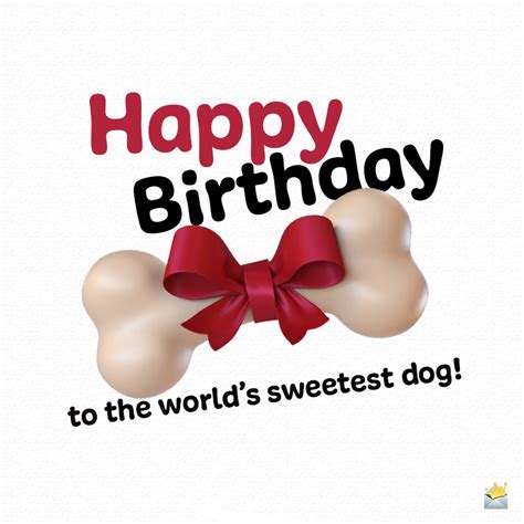 Happy Birthday To Woof Birthday Wishes For Dogs