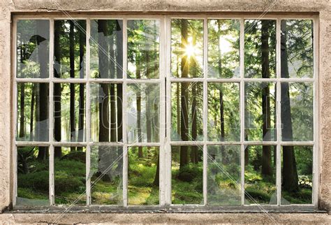 Sunset In Forest Through Broken Window Wall Mural And Photo Wallpaper