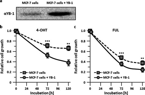 Cell Growth Inhibition Of Mcf Breast Cancer Cells By The