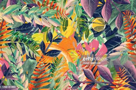 Tropical Rainforest High Res Vector Graphics Getty Images