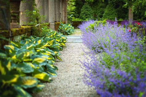 Transform your backyard by designing a stunning walkway boasting an arched arbor festooned with. How to Design a Low Maintenance Garden | a Blade of Grass