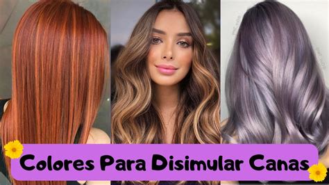 Colores De Cabello Para Disimular Canas YouTube