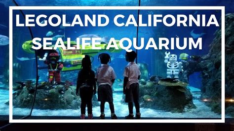 Legoland California Sea Life Aquarium 1st Visit With Kids Youtube
