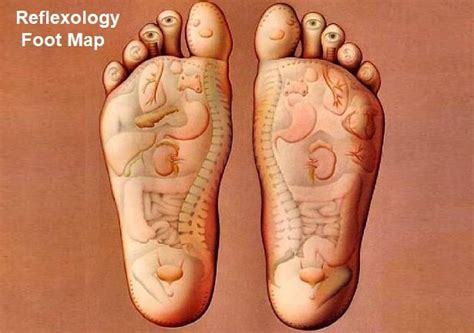 Reflexology Foot Chart 2023