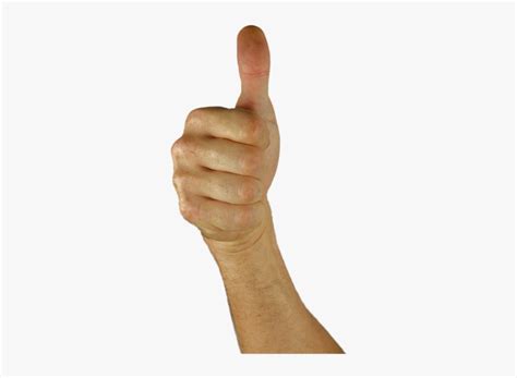 Thumbs Up Thumb Hand Positive Excellent Great Thumbs Up Arm Transparent Background Hd