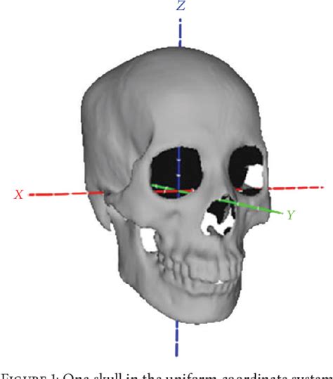 Figure 1 From Automatic Sex Determination Of Skulls Based On A