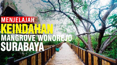Menjelajah Ekowisata Mangrove Wonorejo Surabaya Youtube