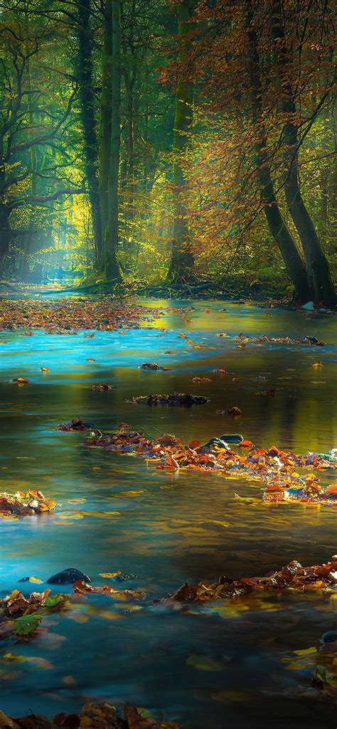 River Sunbeam Autumn 4k River Nature 4k Autumn Iphonexwallpaper