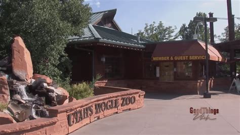 Visit Utahs Hogle Zoo Now To Say Goodbye To The Elephants Abc4 Utah