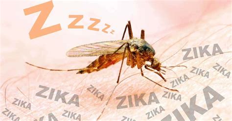 Try and remove all water pooling areas around your house, these. How To Get Rid of Annoying Mosquitoes In The Yard