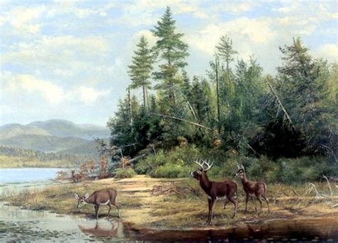 Also use our online tools and caption/border maker to chart your own text and words. Deer On Lake~counted cross stitch pattern #1195~Animals ...