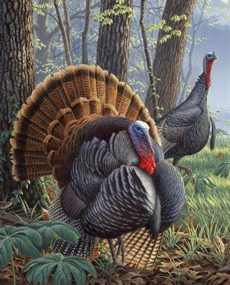 918 wild turkey panel digital print from david textiles of etsy turkey art wild turkey