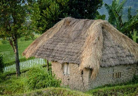 Neolithic Bamboo House And The Birthplace Of Paddy Fields Found