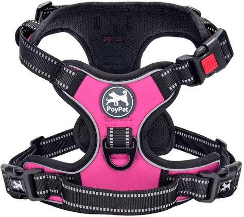 Best Dog Hiking Harnesses Our 9 Choices Of 2021
