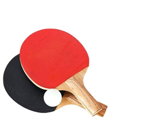 Table Tennis Png Transparent Images Free Download Pngfre