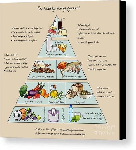 The Healthy Eating Pyramid Colorful Canvas Print By Dalmingo Bring