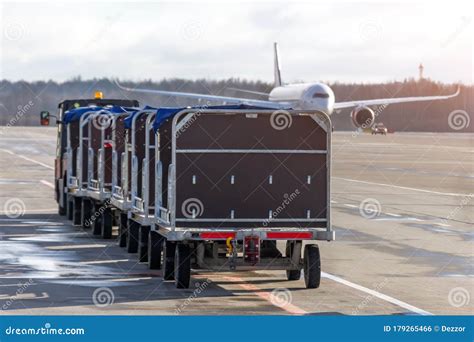 Empty Luggage Trolleys At The Airport For Unloading Bags Of Passenger