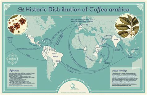 the history of coffee in vietnam london saigon coffee company