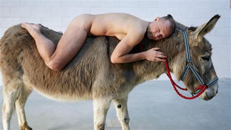 Sex With Donkey