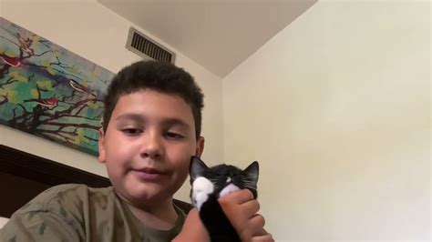 My Cat Youtube