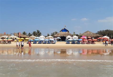 6 Best Beaches In Goa For Nightlife Nightlife In Goa