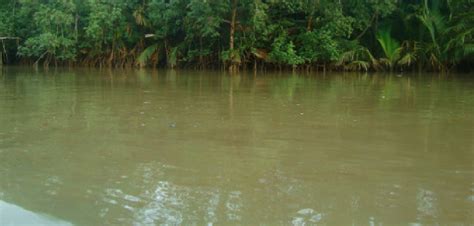 10 Major Rivers In Nigeria Fact With Pictures Things To Know