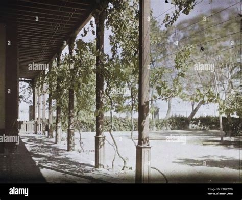 Colonial presence public civil architecture hospital care center hi-res