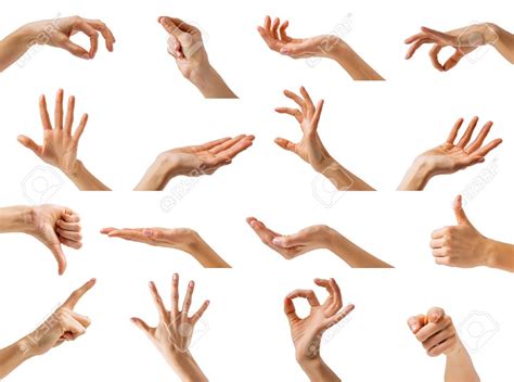 Collection Of Different Hands Gestures Stock Photo Hand Drawing Reference Human