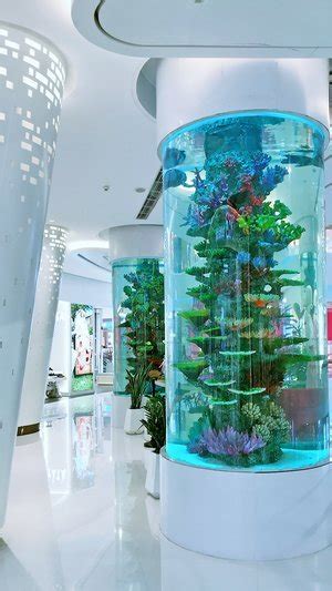 Custom Made Cylinder Tank Fish — Redfin Aquarium Design