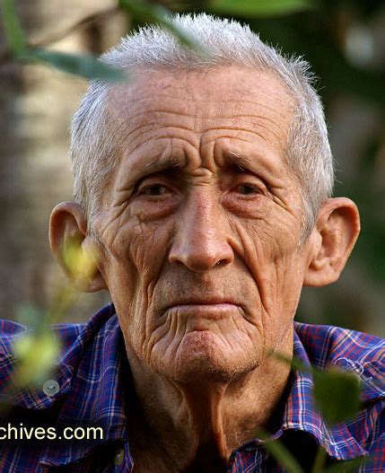 Old Man Face Old Man Portrait Male Face