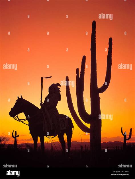 Native Indian Riding Horse At Saguaro Cactus National Monument In Stock