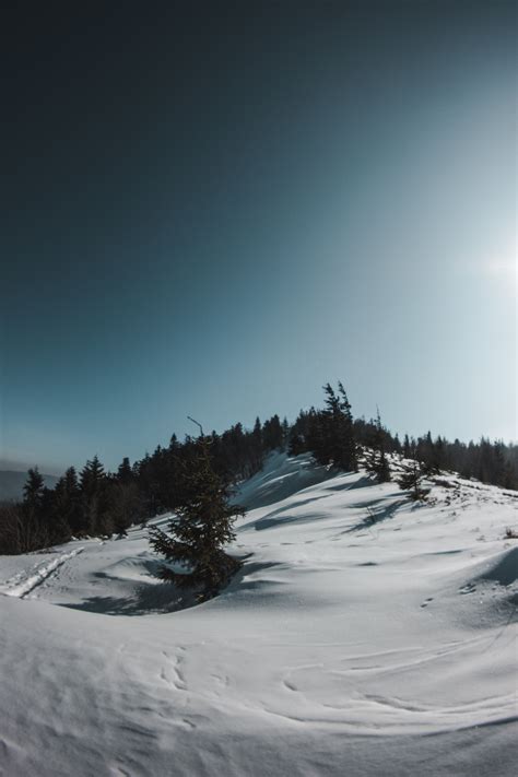 Snowy Mountain · Free Stock Photo