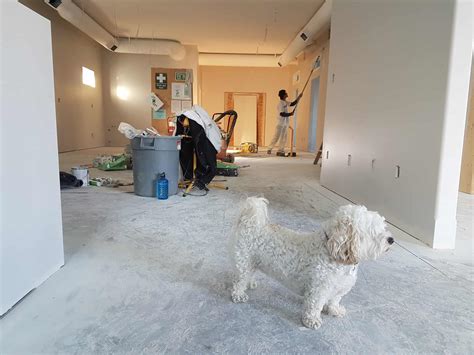 Sweep up all dust and clean the room thoroughly How To Remove Mildew Smell