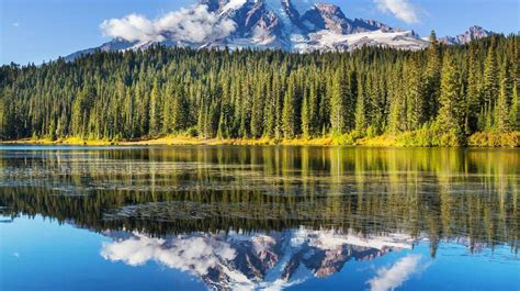 3 Day Mt Rainier And Olympic National Park Tour From Seattle
