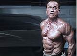 Photos of Arnold Schwarzenegger Bodybuilding Training Guide Free Download