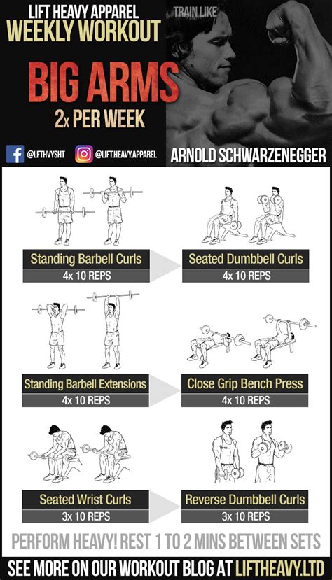 Arnold Arms Workout Eoua Blog