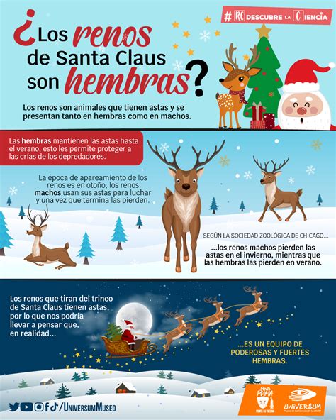 ¿sabías Que Probablemente Los Renos De Santa Claus Son Hembras