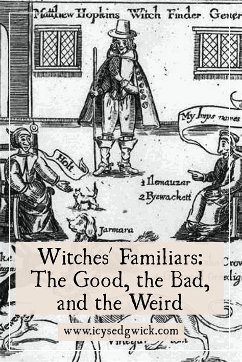 Witches Familiars The Good The Bad And The Weird Icy Sedgwick