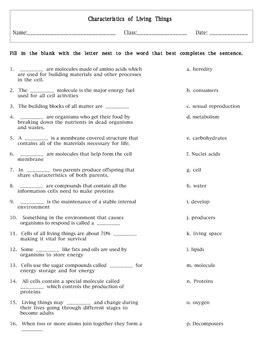 Terrestrial aquatic ecosystem worksheet