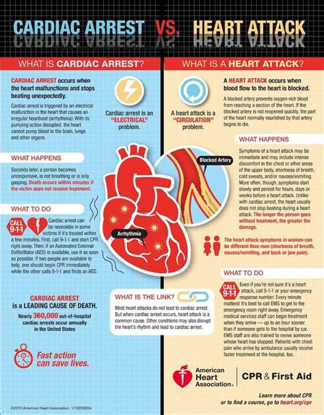 Frishman, md, macp, director of medicine at. 38 best Learning ECG Interpretation images on Pinterest ...