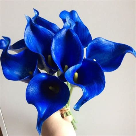10pcs Cobalt Flowers Royal Blue Calla Lily Bouquet Real Touch Calla