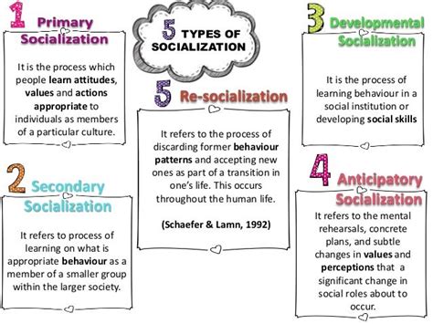 2015 Chapter 4 Sociology Education And Socialization