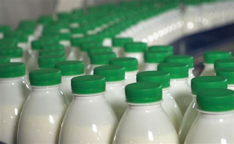 Milk Production Free Range Dairy