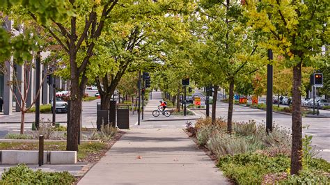 5 Benefits Of Urban Forests College Of Natural Resources News