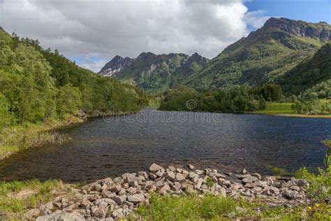 Norwegian Summer Landscape Fjord Mountains Norway Selective Focus