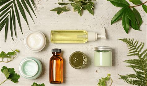 Best Plant Based Skincare Products For A Glowing Skin