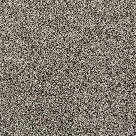 One must understand the kind of. LifeProof Carpet Sample - Landsdown - Color Stonework ...